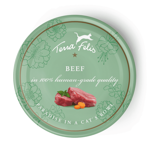 Terra Canis - Beef 80g