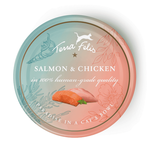 Terra Canis - Salmon & Chicken 80g